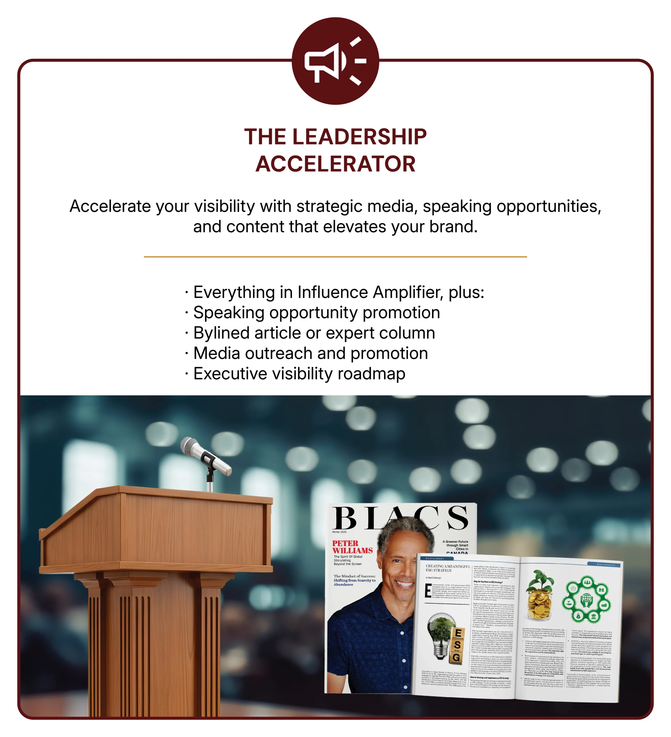 The Leadership acceleator (2)
